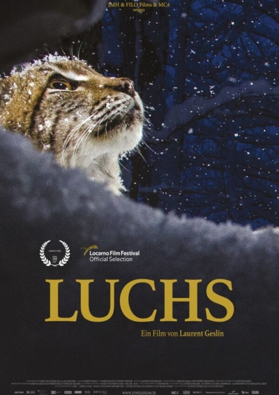 Plakat: Luchs
